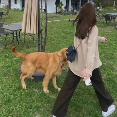 一不小心赖上你